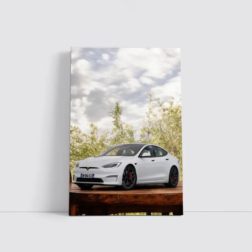 Tesla Model S White Car Outdoor Setting – Wall Art