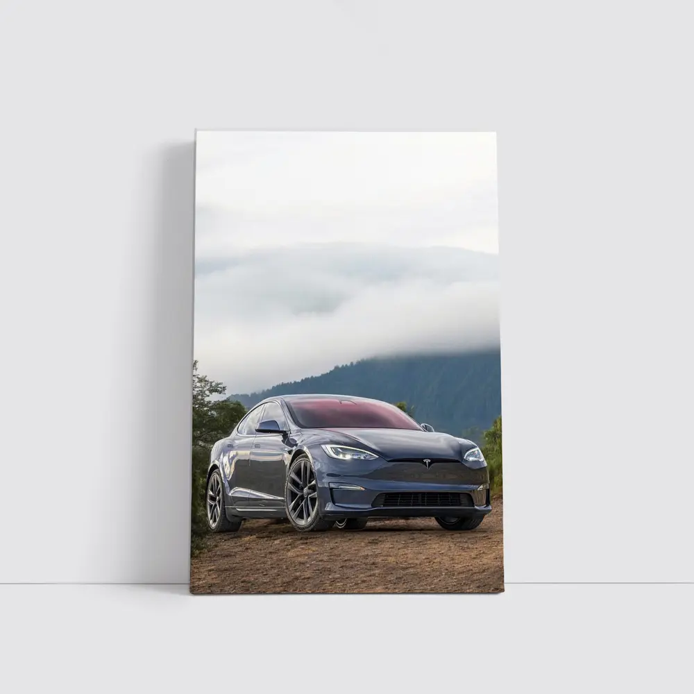 Tesla Model S Parked On Misty Mountain – Wall Art