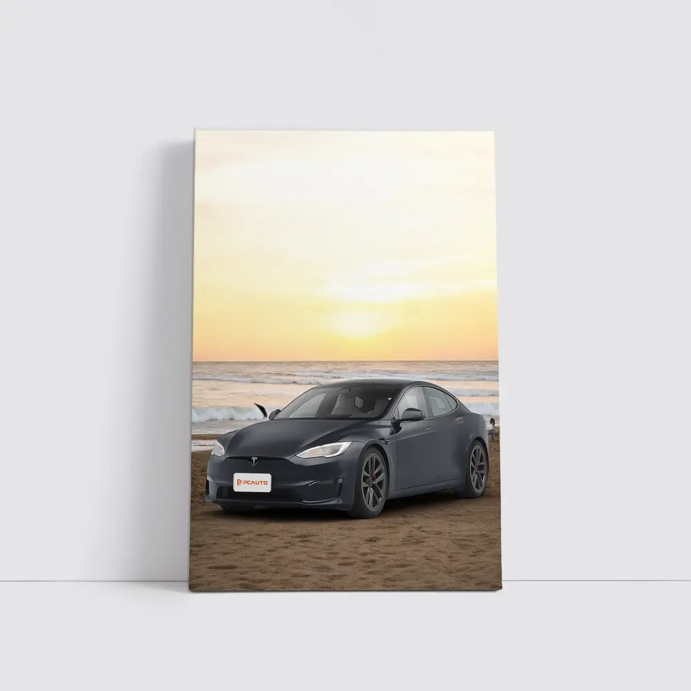 Tesla Model S Dark Gray Beach Sunset – Wall Art
