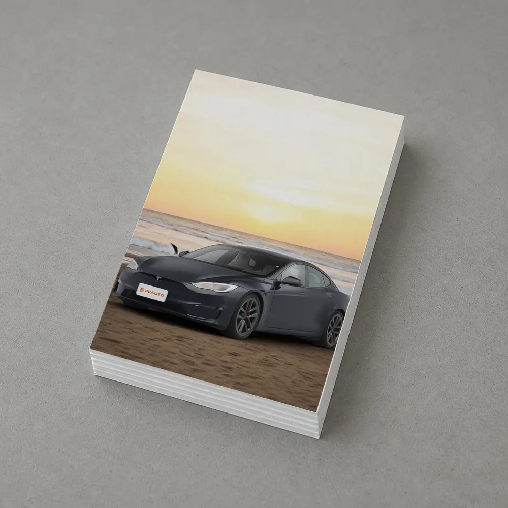Tesla Model S Dark Gray Beach Sunset – Postcards