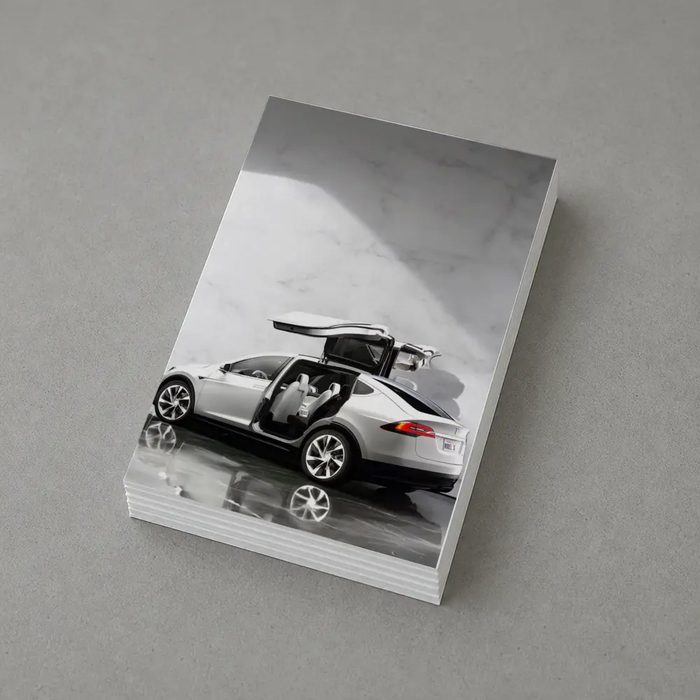 Tesla Model X Falcon Wing Doors Marble – Postcards