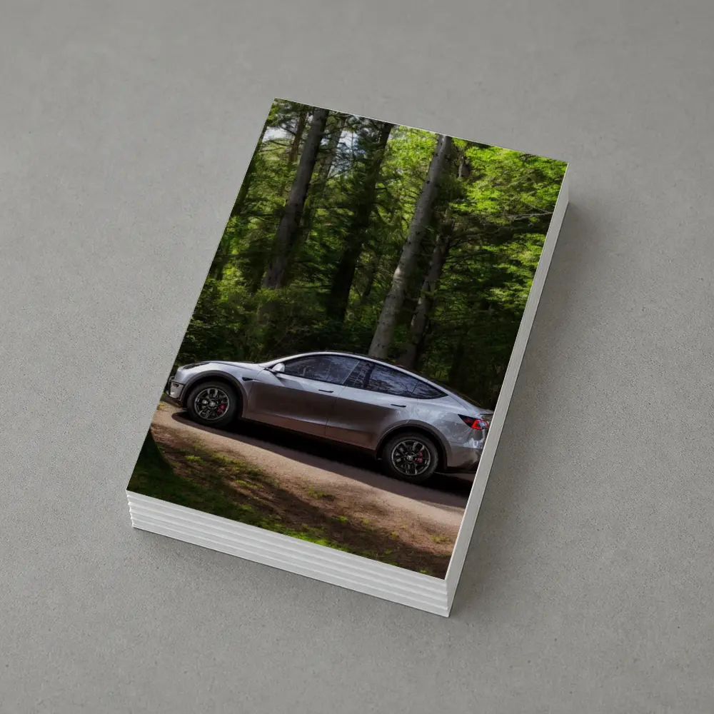 Tesla Model Y Silver Forest Road Side View – Postcards