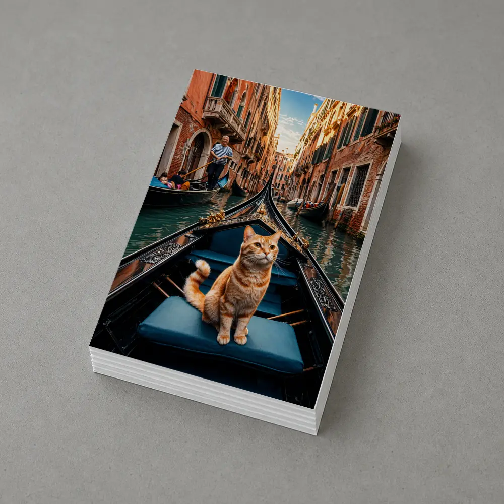 Ginger Cat Riding Gondola Venice Canal – Postcards