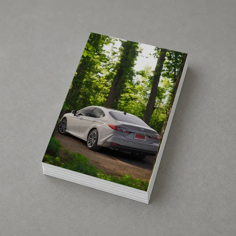 Toyota Camry Silver Sedan Forest Path – Postcards