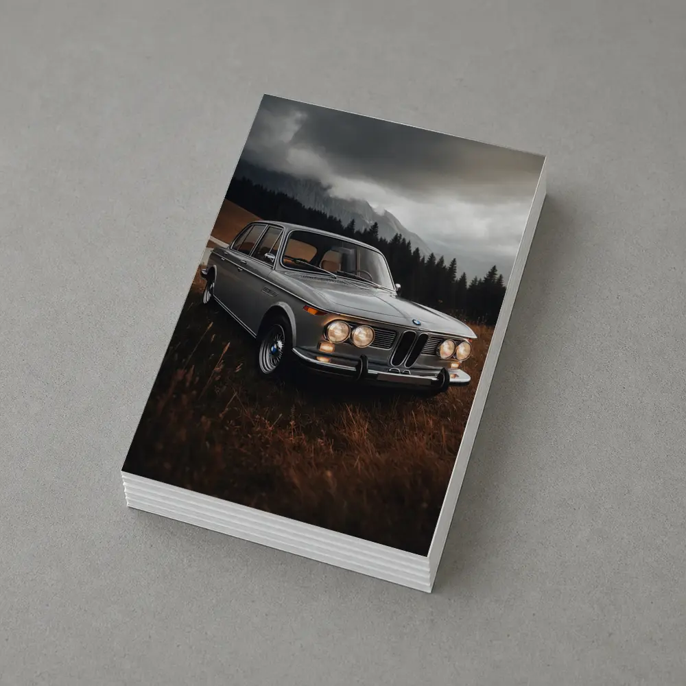 Vintage BMW Classic Sedan Moody Mountain Setting – Postcards