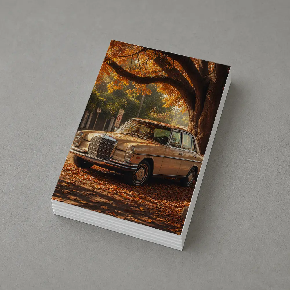 Vintage Mercedes Benz Sedan Autumn Street – Postcards