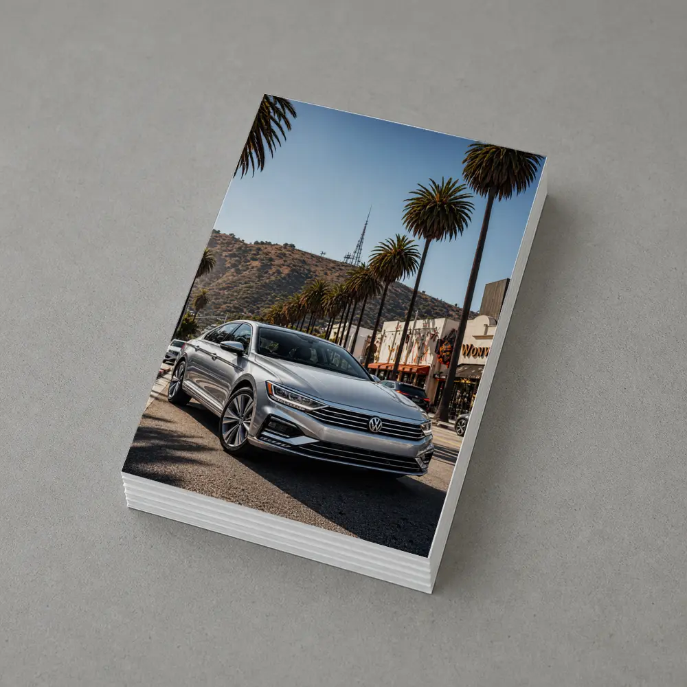 Volkswagen Passat Silver Los Angeles Palm Trees – Postcards