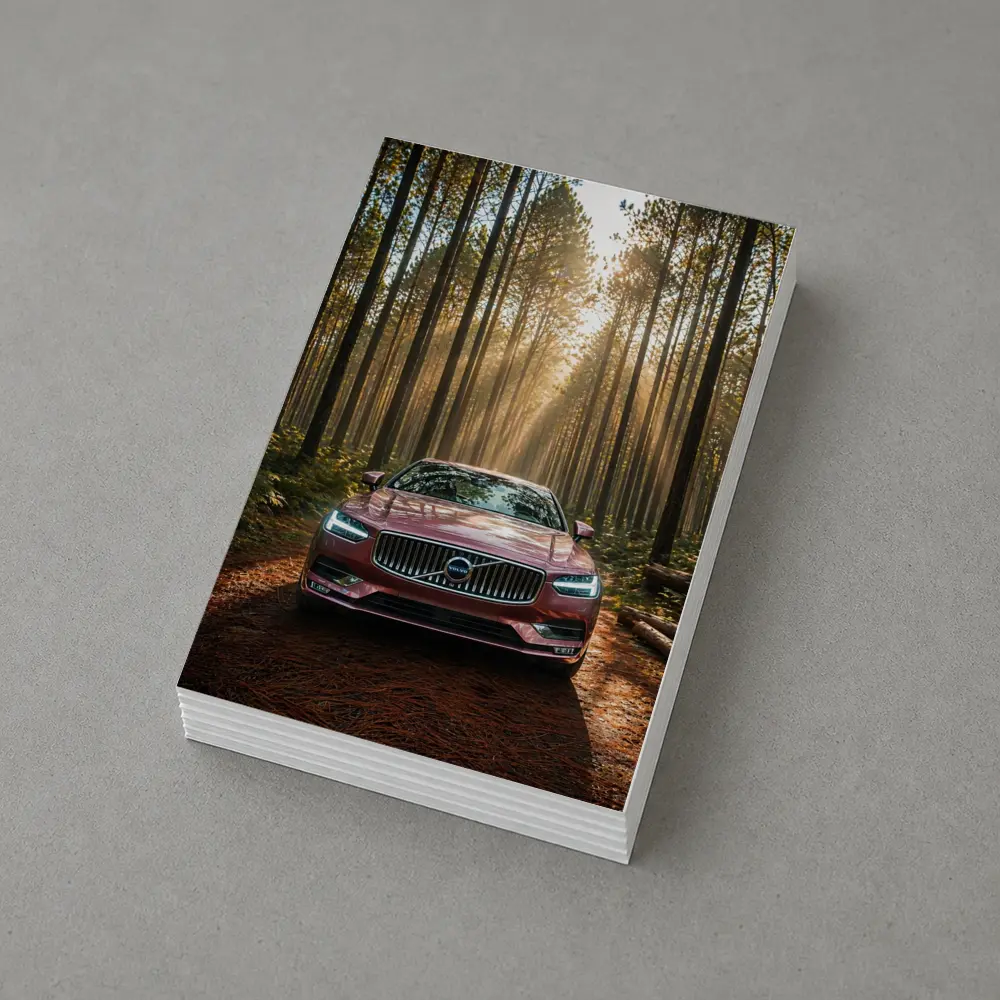 Volvo S90 Parked in Sunlit Forest – Postcards
