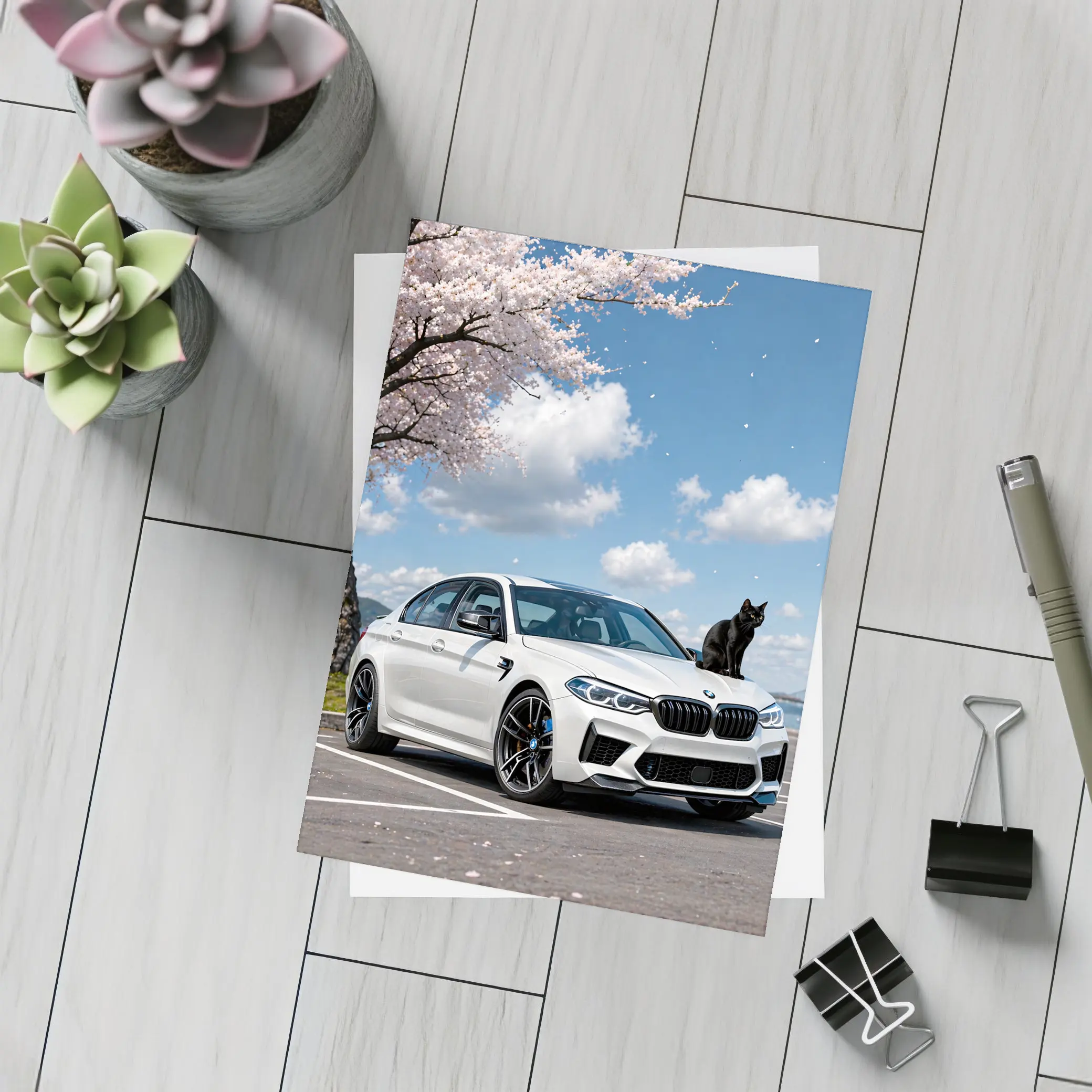 White BMW M5 Black Cat Cherry Blossoms – Postcards