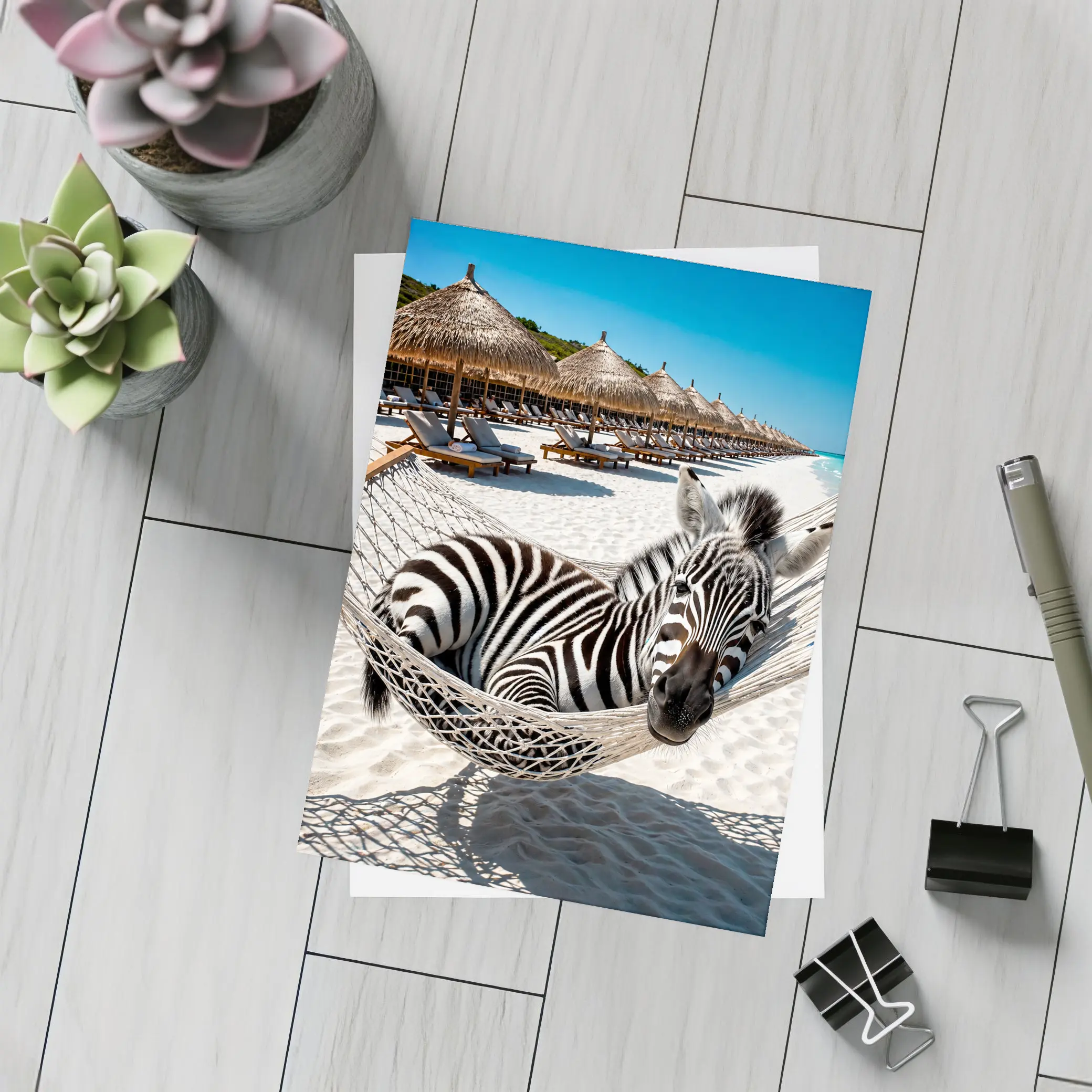 Zebra Relaxing in Hammock Beach Resort – Postcards