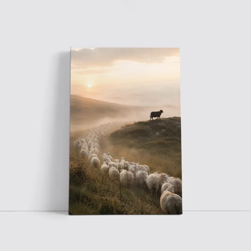 Sheep Flock Walking Misty Hills at Sunrise – Wall Art