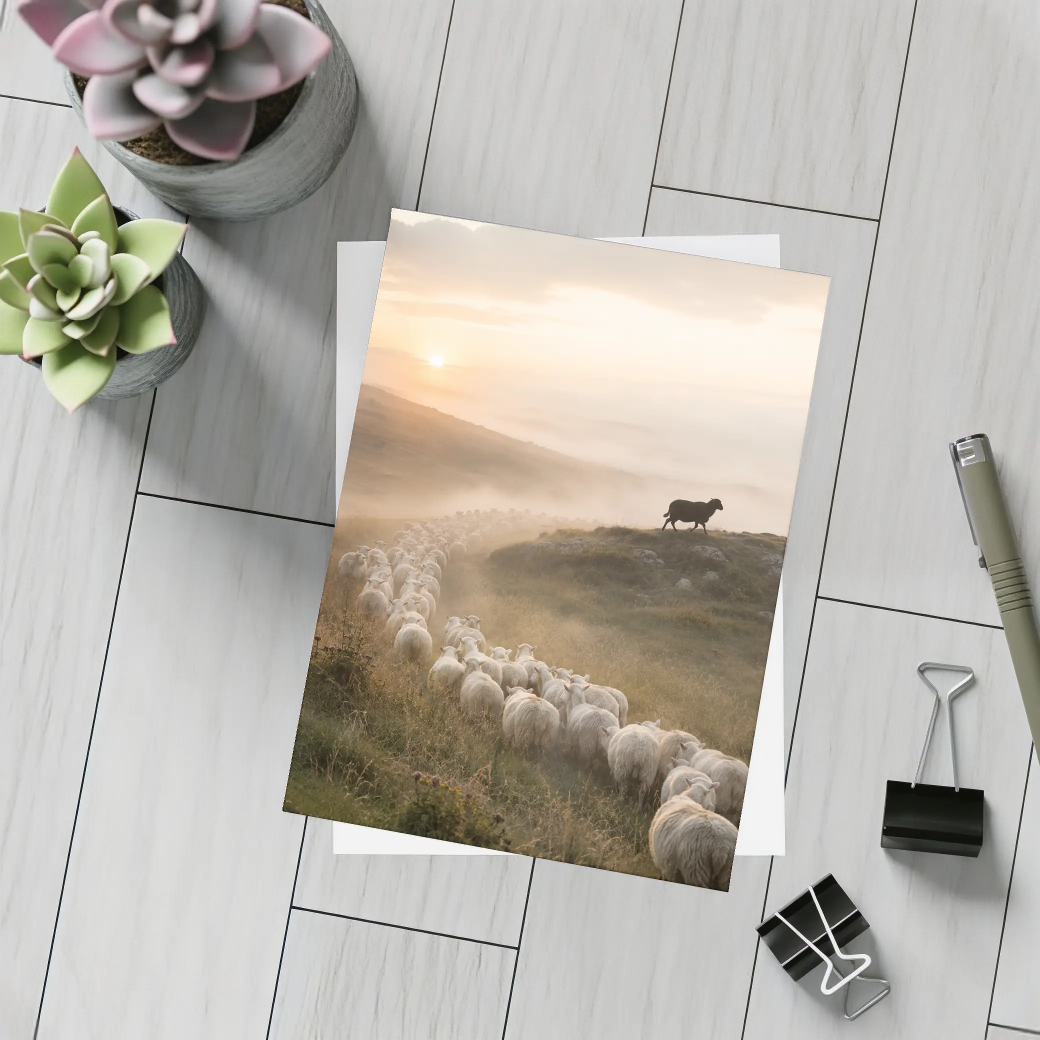 Sheep Flock Walking Misty Hills at Sunrise – Postcards