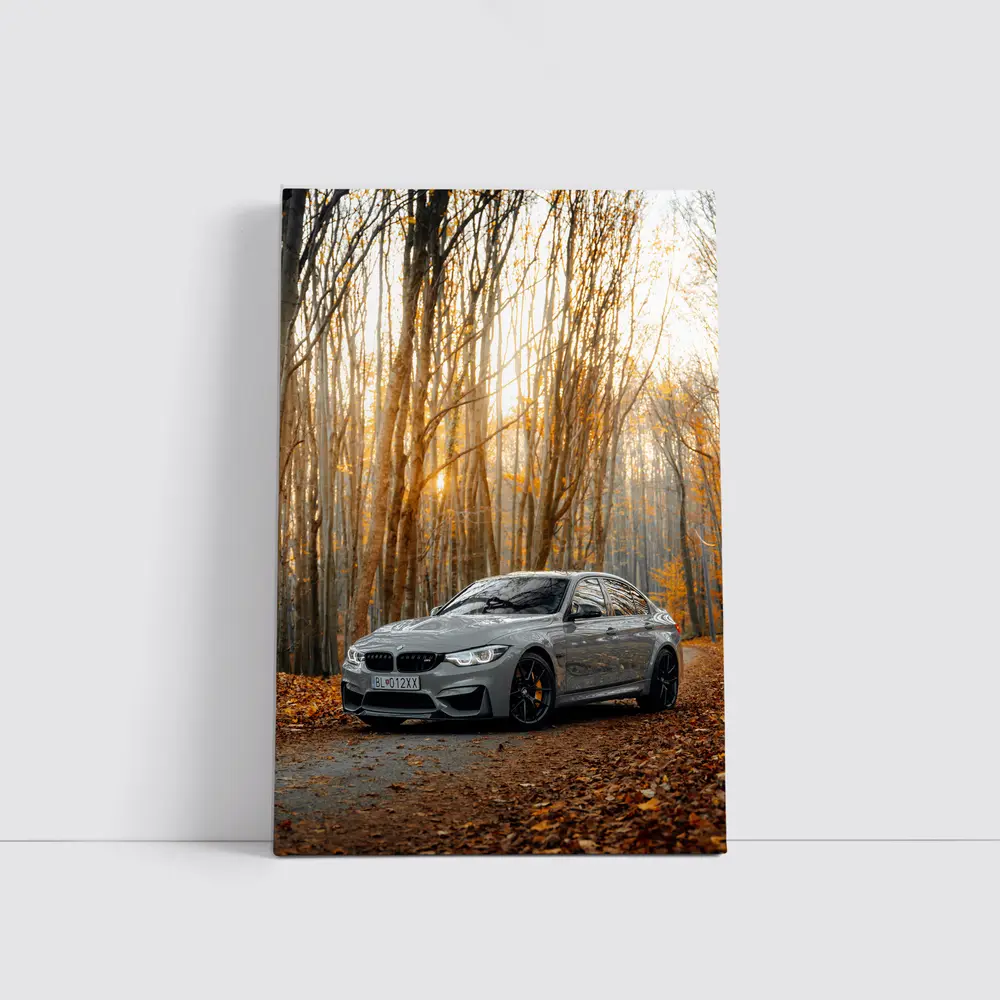 BMW M3 Gray Sedan Autumn Forest – Wall Art
