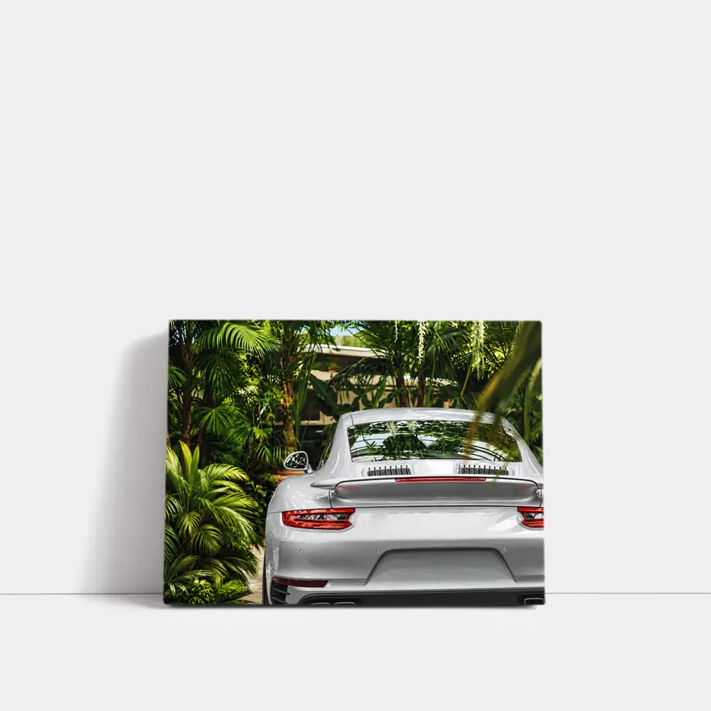 Porsche 911 Silver Rear Tropical Garden – Wall Art
