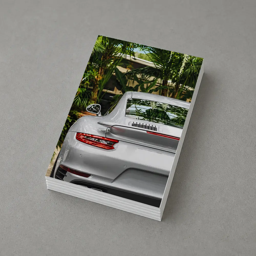 Porsche 911 Silver Rear Tropical Garden – Postcards