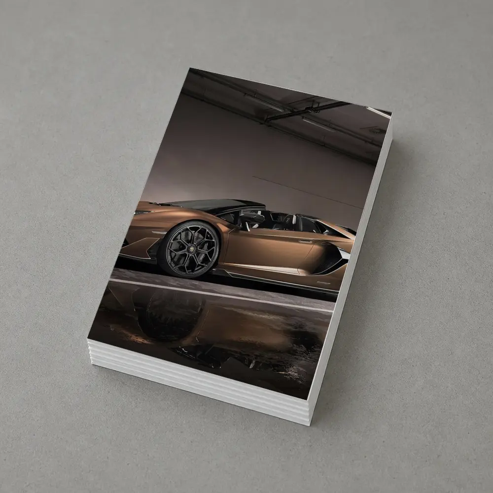 Lamborghini Aventador Bronze Garage Side Profile – Postcards
