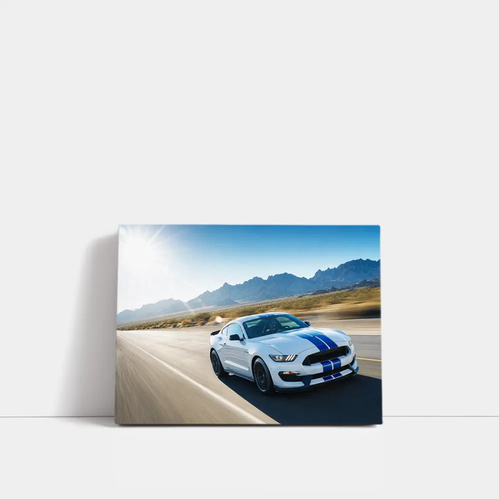 Ford Mustang Shelby GT350 Desert Highway Drive – Wall Art
