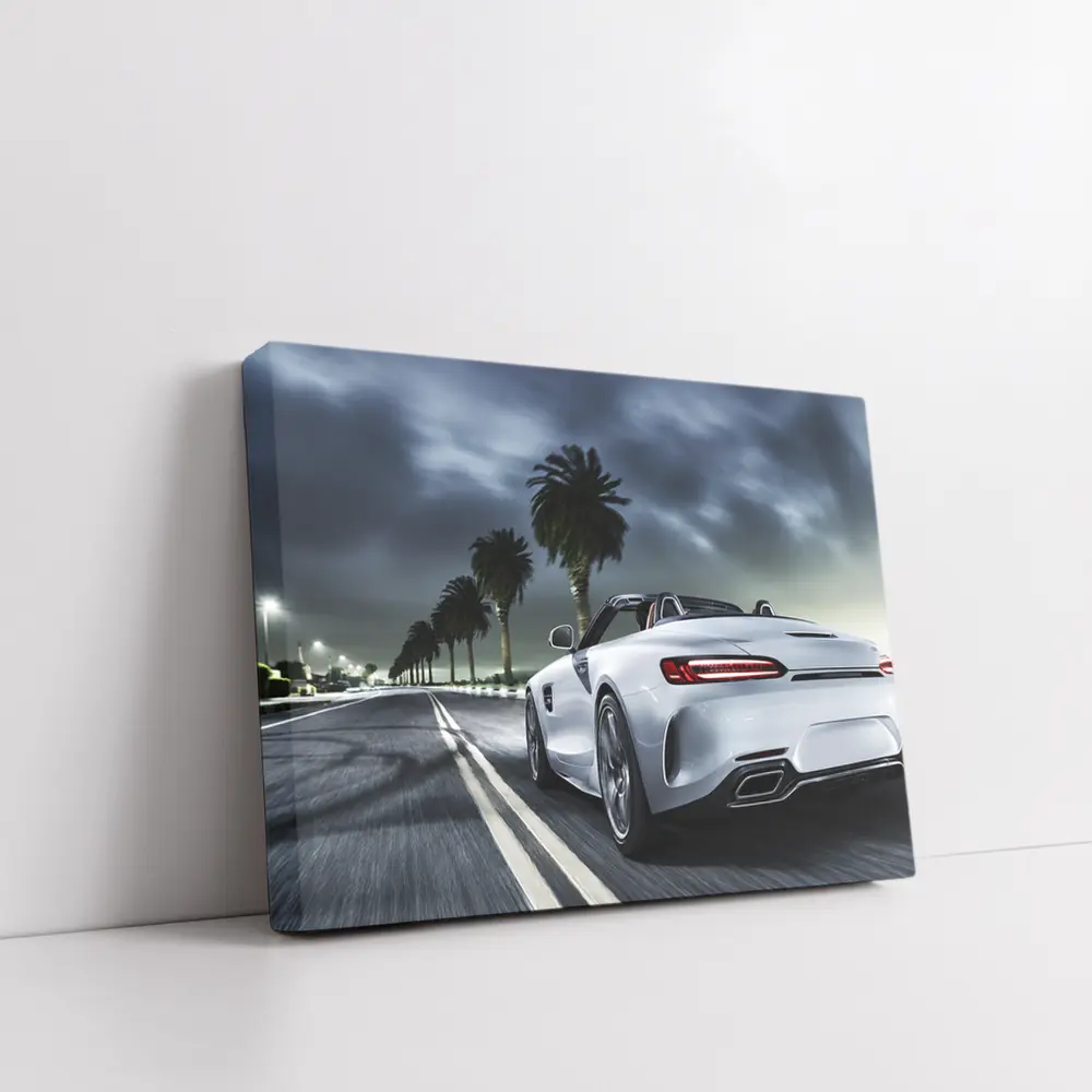 Mercedes AMG GT Roadster Night Palm Drive – Wall Art