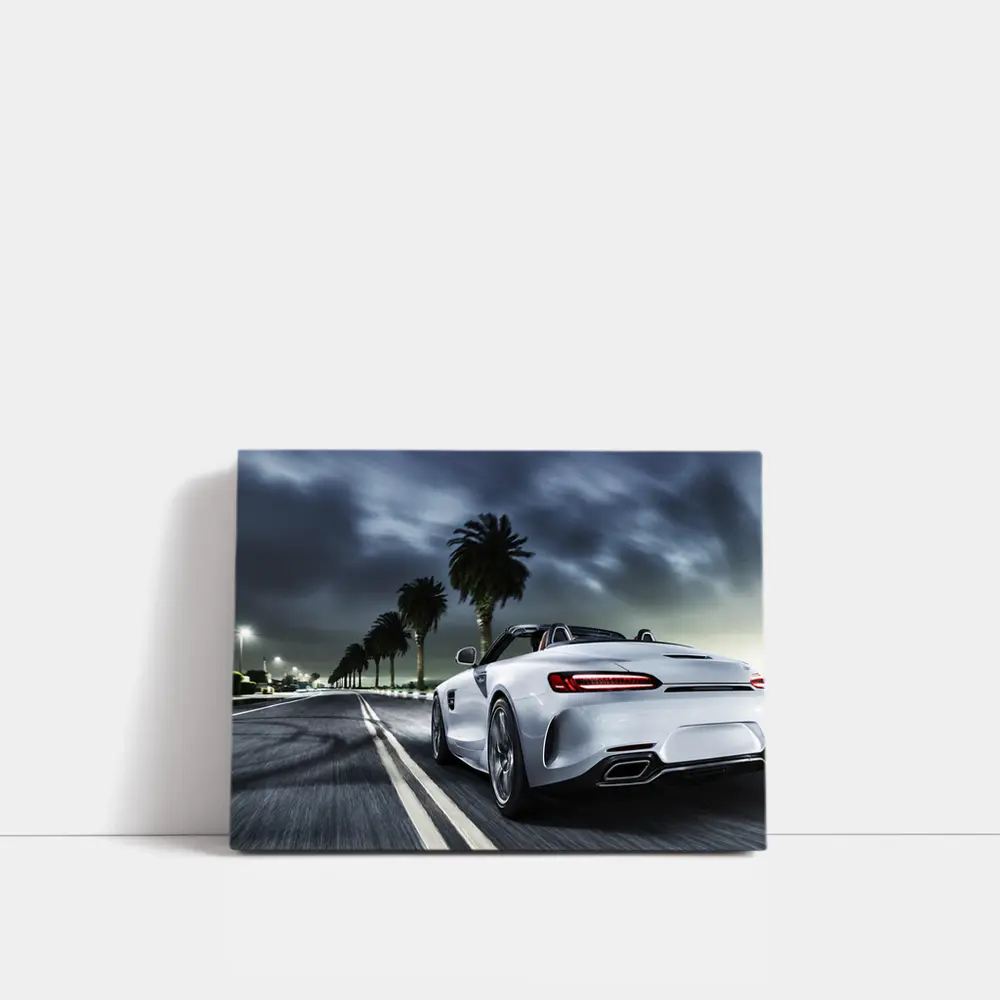 Mercedes AMG GT Roadster Night Palm Drive – Wall Art