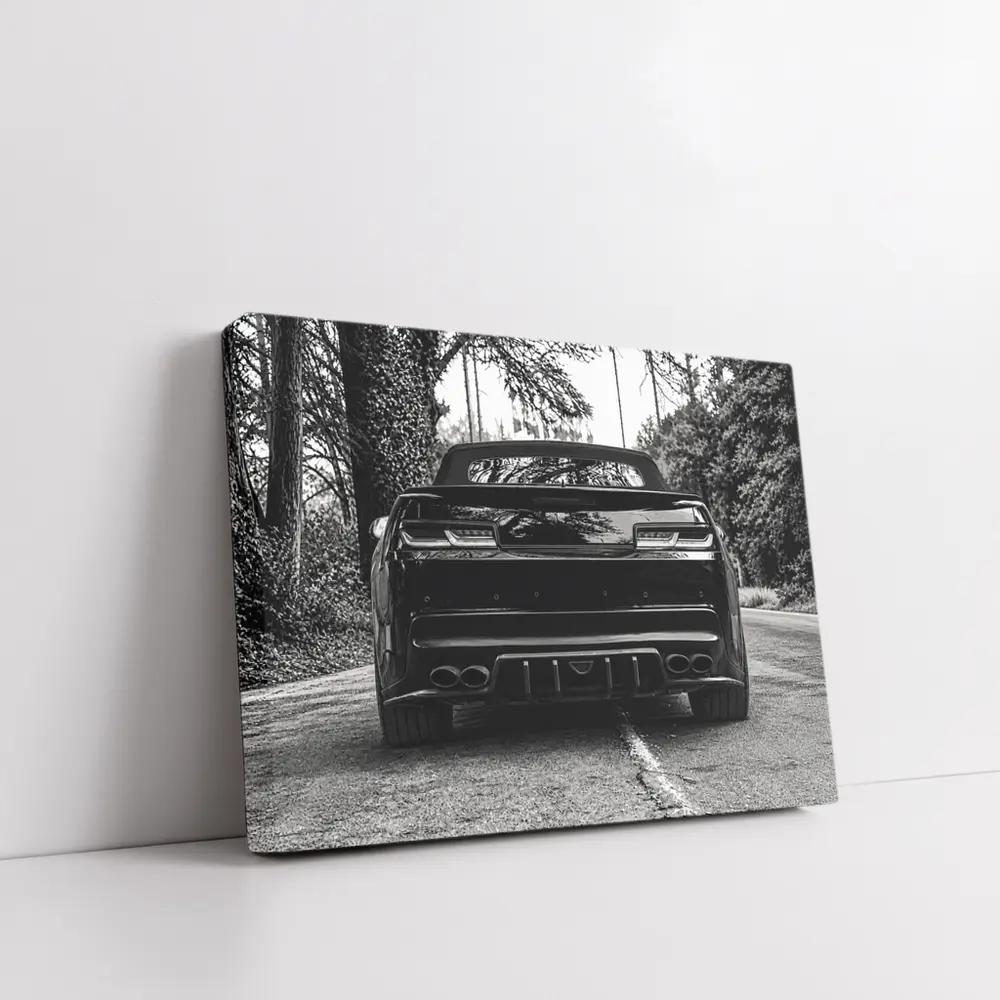 Chevrolet Camaro Black and White Road Shot – Wall Art