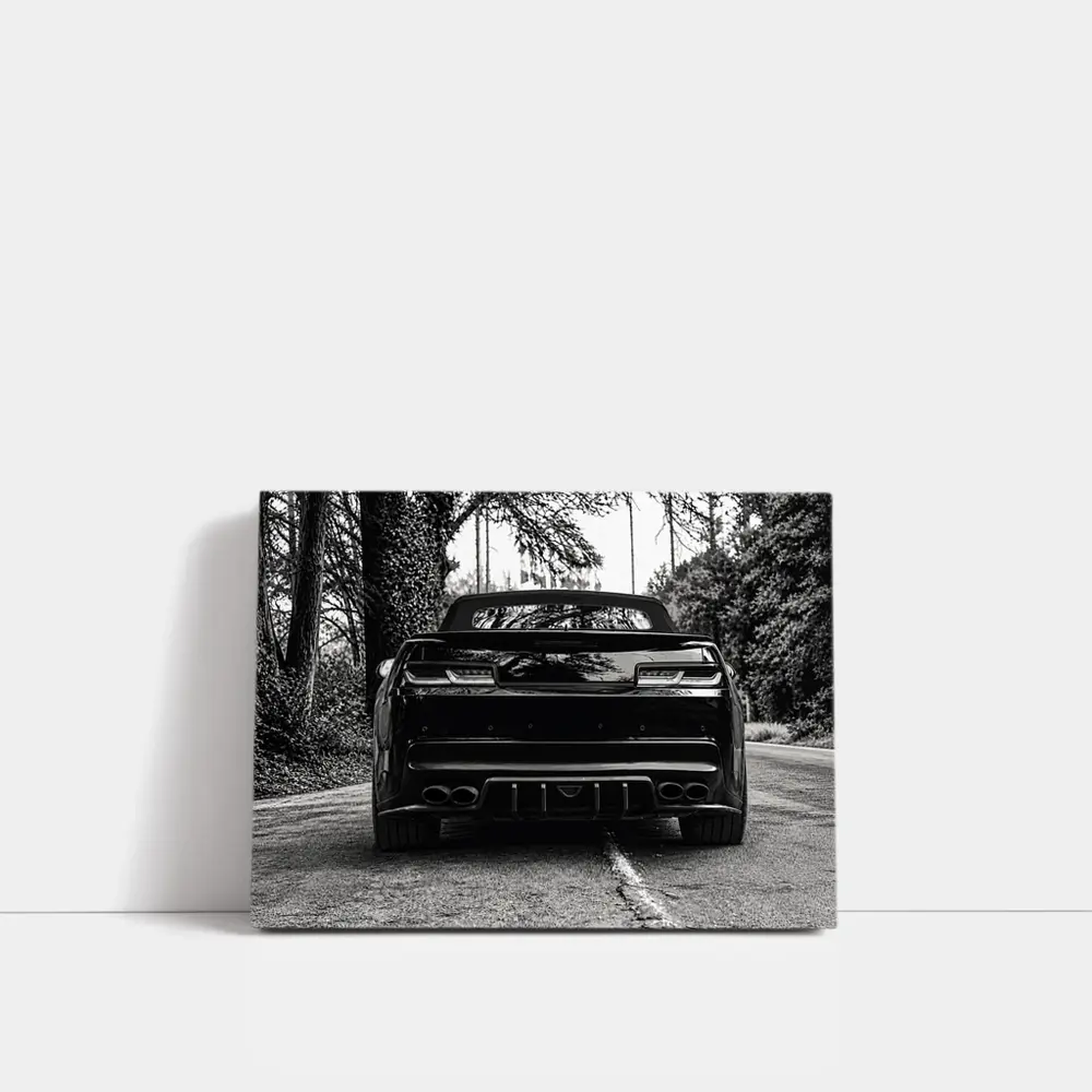 Chevrolet Camaro Black and White Road Shot – Wall Art