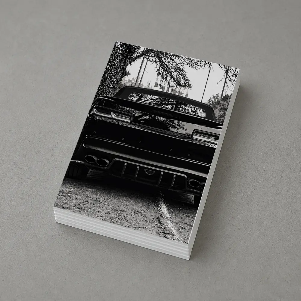 Chevrolet Camaro Black and White Road Shot – Postcards