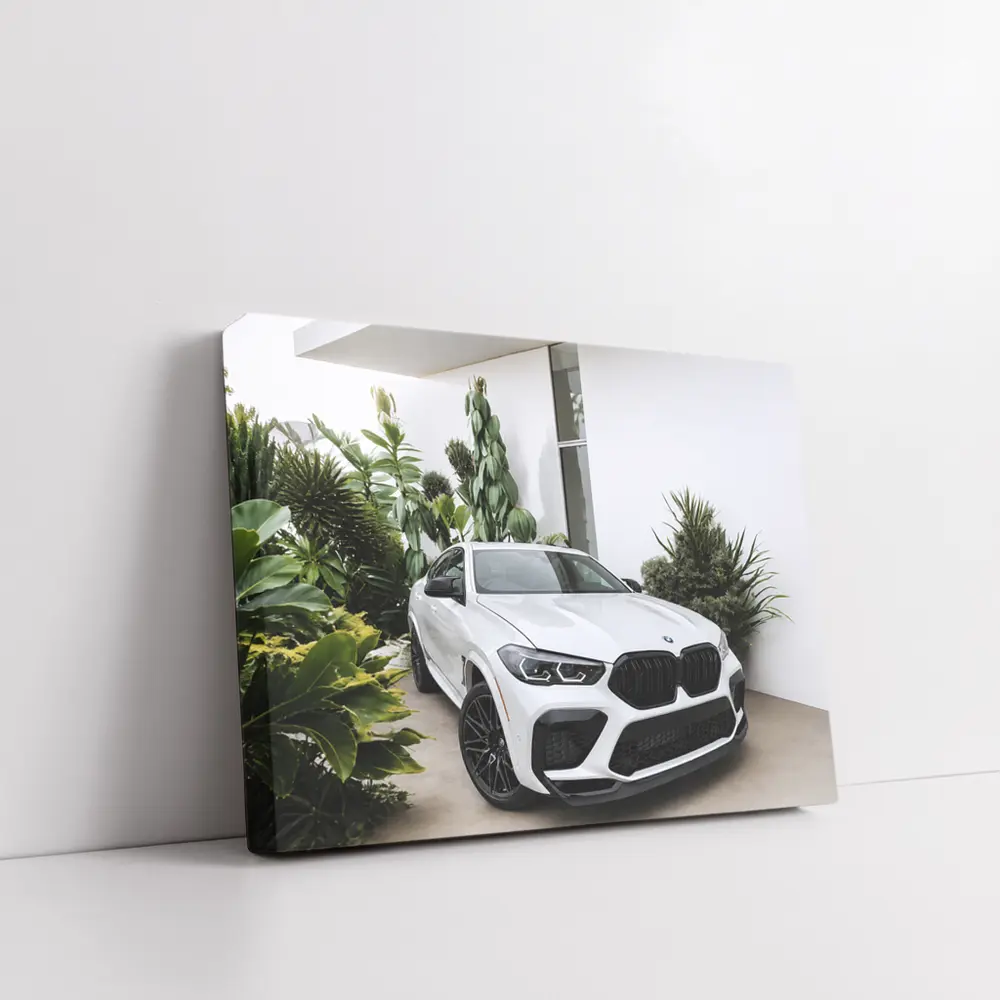 BMW X6M White SUV Tropical Plant Setting – Wall Art