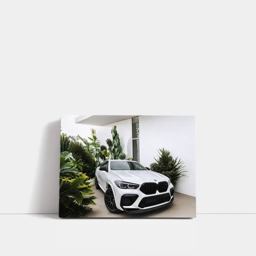 BMW X6M White SUV Tropical Plant Setting – Wall Art