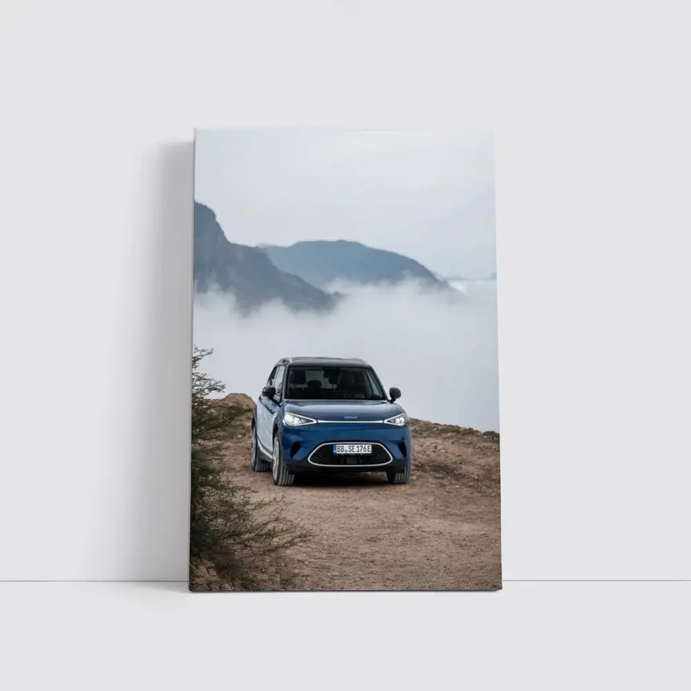 Smart Car Blue Parked Mountain Fog – Wall Art