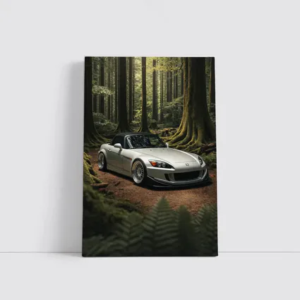 Honda S2000 Parked Deep Forest Setting