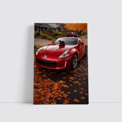 Nissan 370Z Red Sports Car Autumn Street