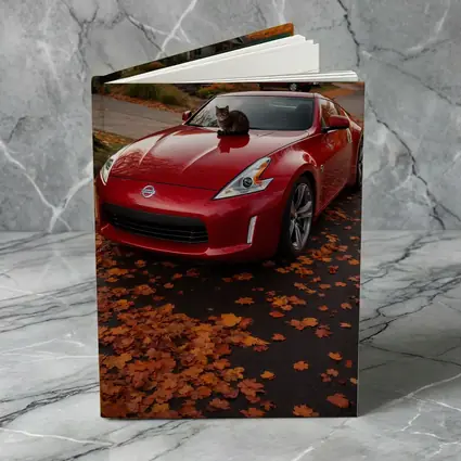 Nissan 370Z Red Sports Car Autumn Street