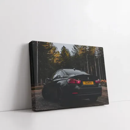 Black BMW Four Series Dark Forest Setting