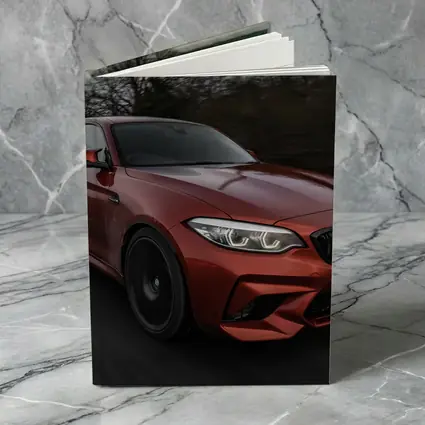 BMW M2 Coupe Racing On Wet Road