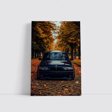 BMW E46 Dark Blue Cobblestone Autumn Avenue