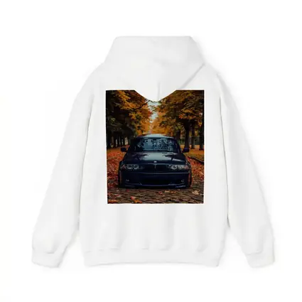 BMW E46 Dark Blue Cobblestone Autumn Avenue
