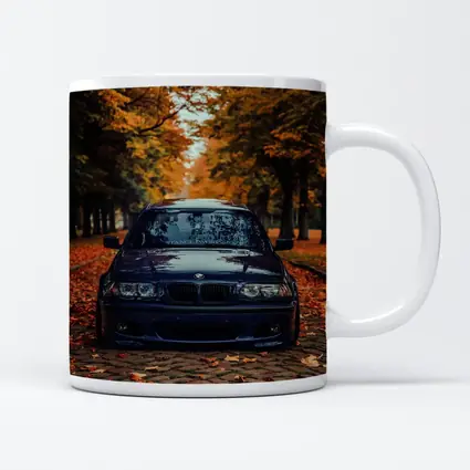 BMW E46 Dark Blue Cobblestone Autumn Avenue