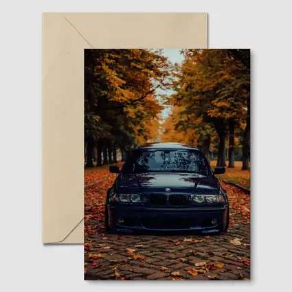BMW E46 Dark Blue Cobblestone Autumn Avenue