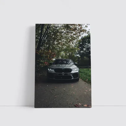BMW M5 Front View Autumn Forest