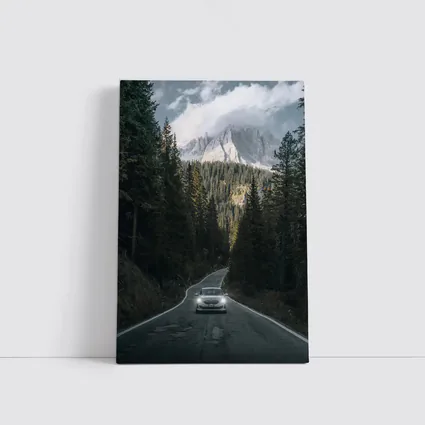 BMW Sedan Mountain Forest Road Drive