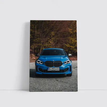 BMW One Series Blue Front Forest