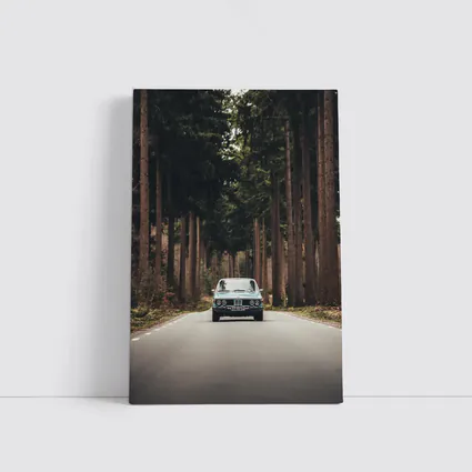 BMW Classic Coupe Forest Road Drive