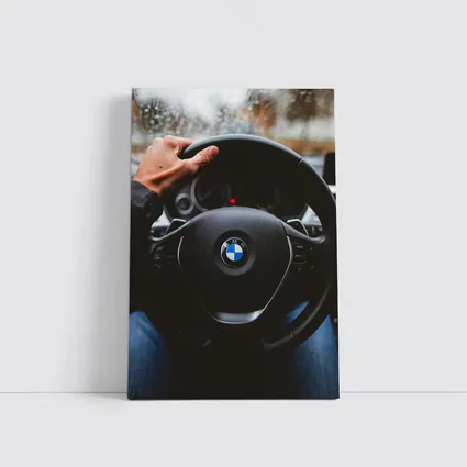 BMW Steering Wheel Driver Interior View