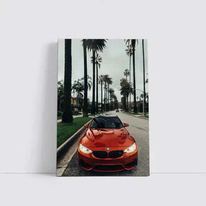 BMW M4 Orange Sportscar Palm Tree Street