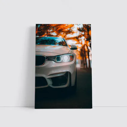 BMW M4 White Car Autumn Trees Background