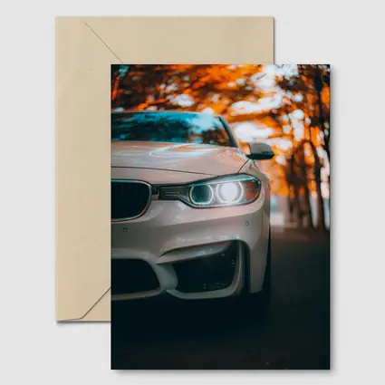 BMW M4 White Car Autumn Trees Background