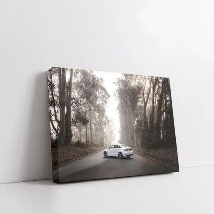 White Audi A3 on Misty Forest Road
