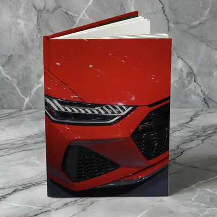 Audi RS Red Front Grille Close Up