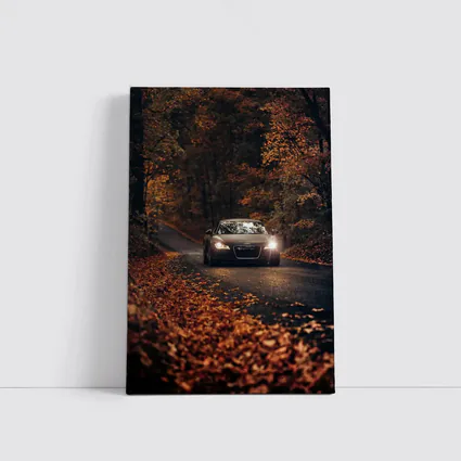 Audi R8 on Dark Autumn Forest Road