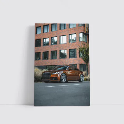 Audi TT Bronze Coupe Urban Street Setting
